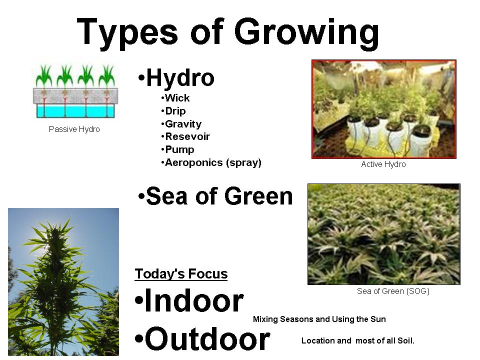 Grow Types